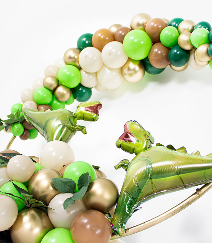 Dino Hoop2